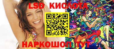 шишки Кандалакша