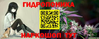 шишки Канаш